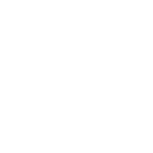 Hondenijsjes
